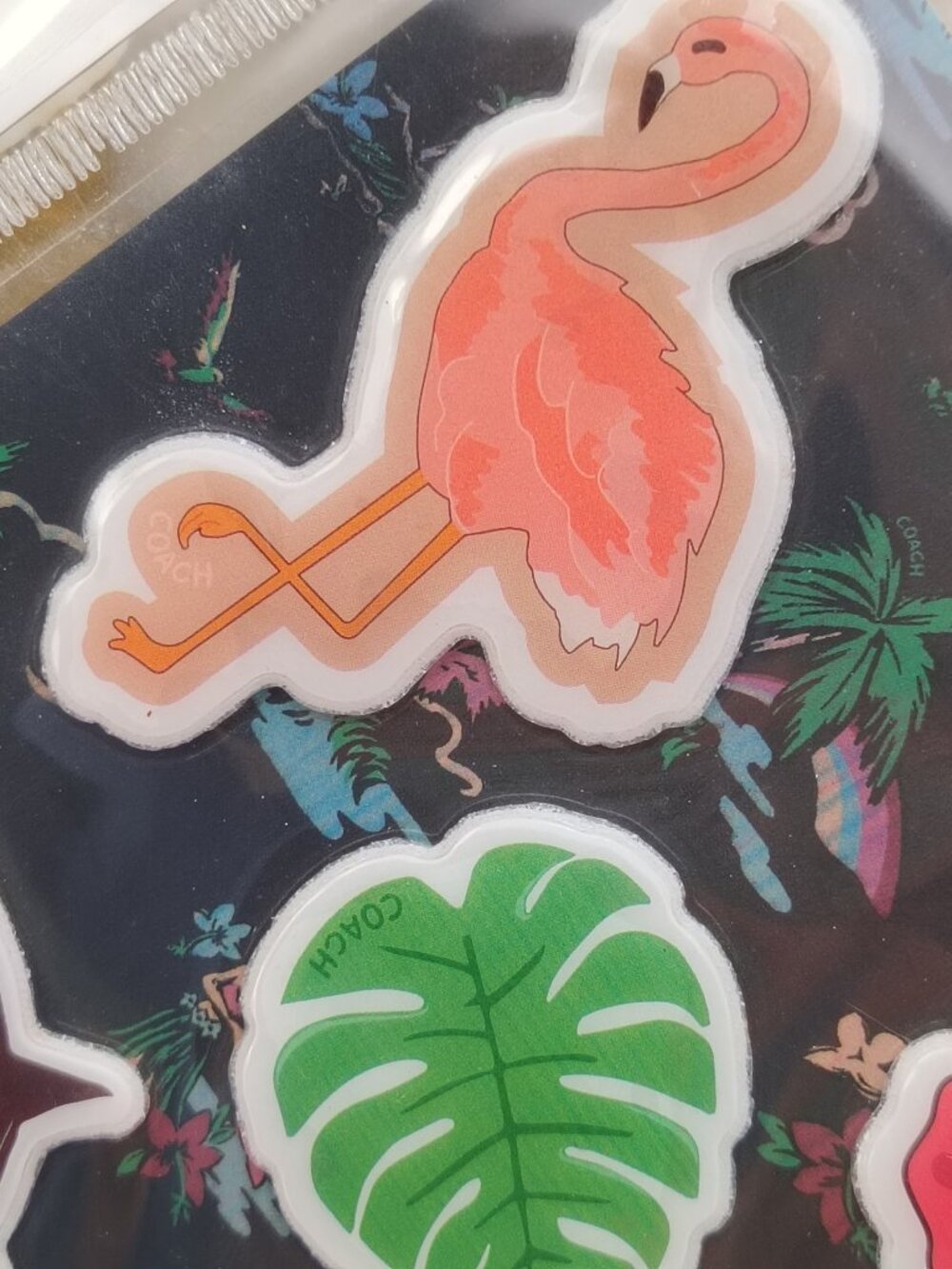 Coach sticker - Picture 4 of 5